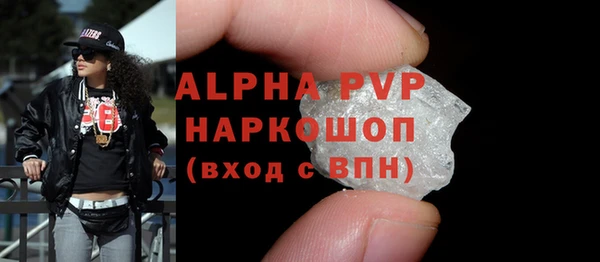 гашик Алексин
