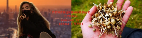 героин Абаза