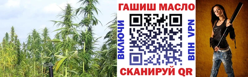 наркошоп  Бежецк  ТГК гашишное масло 