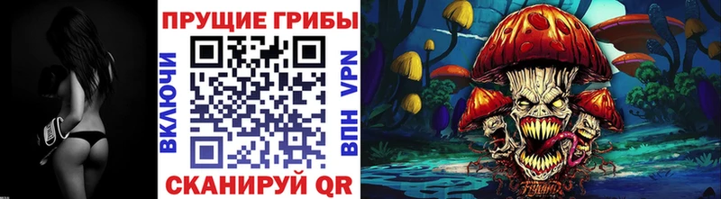 Псилоцибиновые грибы Psilocybine cubensis  как найти наркотики  Бежецк 